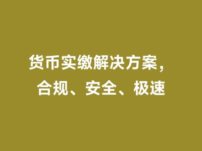 货币实缴解决方案，合规、安全、极速
